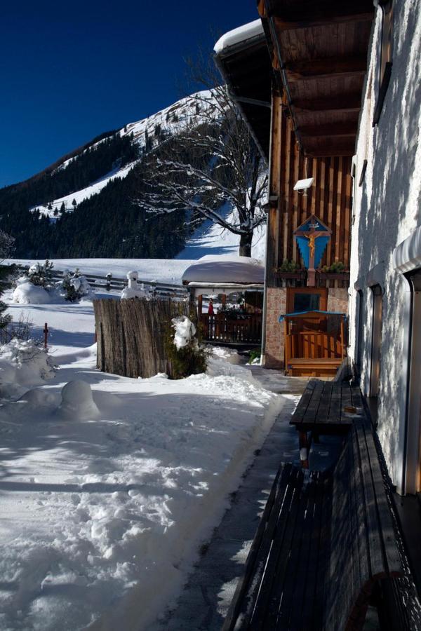 Ferienhaus Wechner Häselgehr エクステリア 写真
